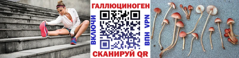 Псилоцибиновые грибы прущие грибы  где продают   mega маркетплейс  Балтийск 